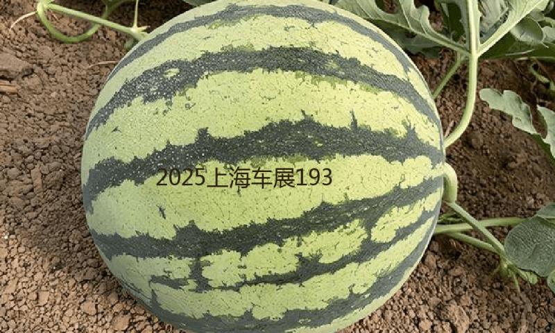 2025上海车展193场发布会创纪录，每一家都在尽力留在牌桌上