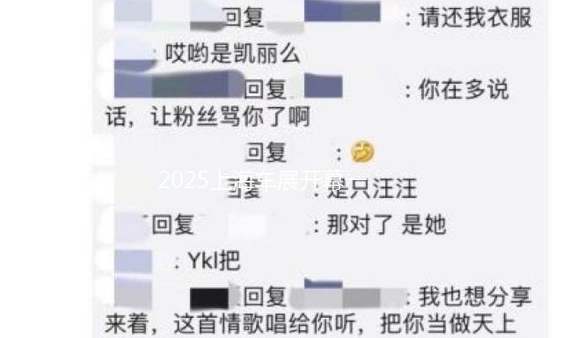 2025上海车展开幕一周前，我国车市24小时抛出10款新车