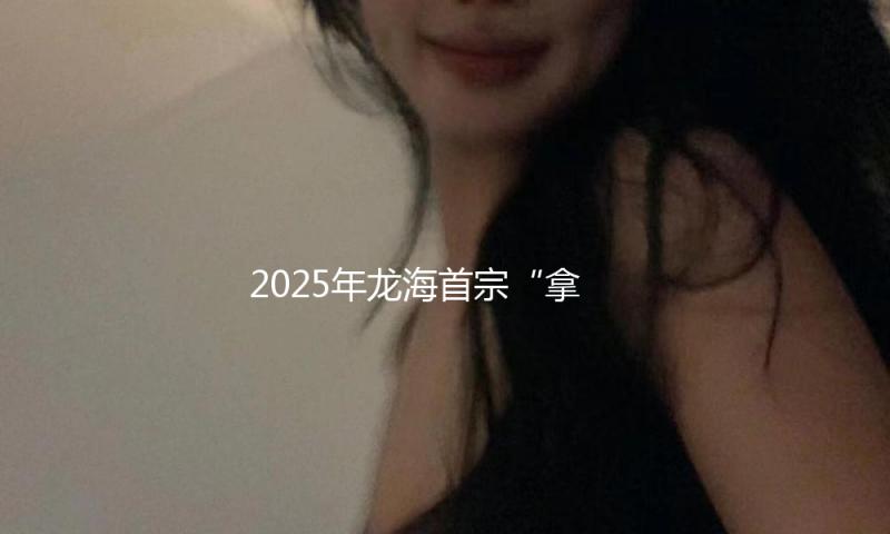 2025年龙海首宗“拿地即开工”项目落地