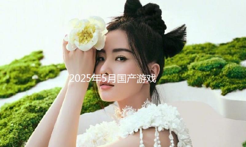 2025年5月国产游戏版号下发 共130款游戏取得游戏版号 — 新京报
