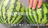 212越野車冠名G212高鐵列車 品牌跨界協作青島啟幕