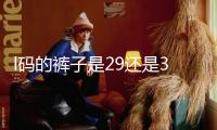 l碼的褲子是29還是30