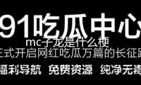mc子龍是什么梗